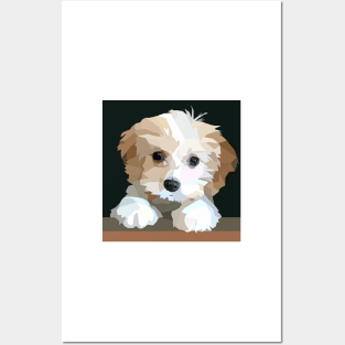 Cute Cavachon Dog Posters and Art